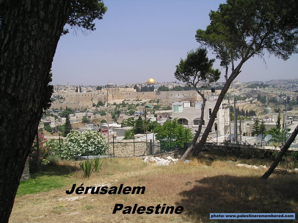 site de rencontre palestine
